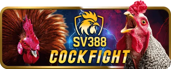 Quy trình tham gia VIP Thabet Casino